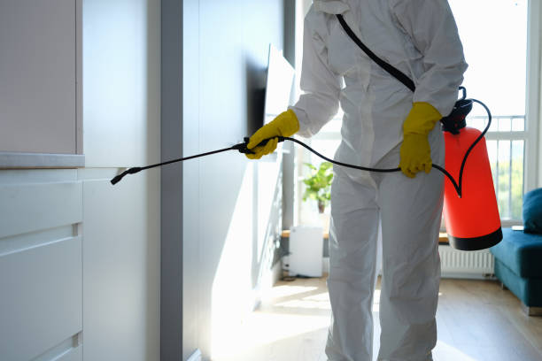 Best Bathroom Mold Remediation in Wyoming, DE