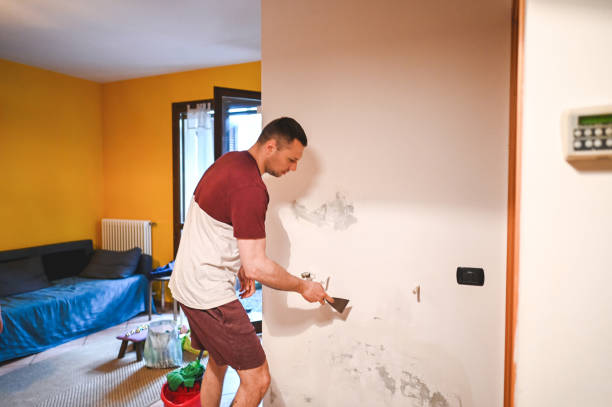 Best HVAC Mold Remediation in Wyoming, DE